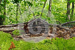 Faerie House 2