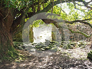 Faerie Portal