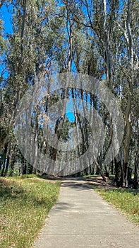 Fahrens Park Bridge Entrance in Merced California