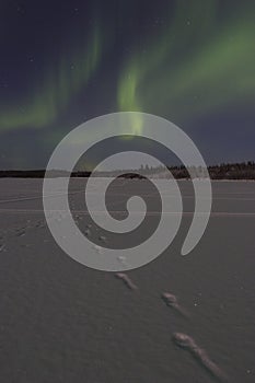 Faint aurora borealis over frozen lake