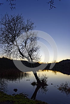 The faint golden light of a Christmas sunset over Clunie Loch