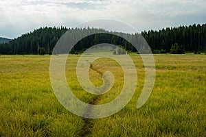 Faint Trail Across Grassy Meadow Heading Toward Wrangler Lake