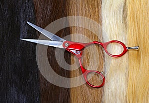 Fair, brown, black and blond hair and scissors