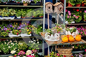 Fair flowers and traditional handmade products