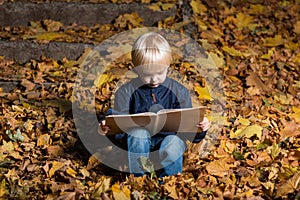 Fair haired little boy sits in autumn leaves and reading book. Childrens book about magic
