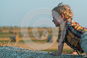 A fair-haired littleboy sits on top of a straw bale on a wheat field