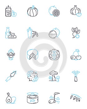 Fair trade linear icons set. Sustainable, Ethical, Justice, Equality, Cooperative, Organic, Transparency line vector and photo