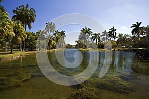 Fairchild Botanic Gardens