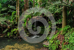 Fairchild Tropical Botanical Garden in South Miami, Florida