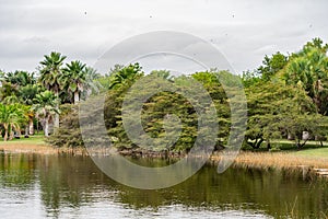 Fairchild Tropical Botanical Garden in South Miami, Florida