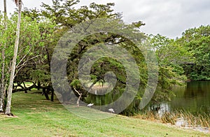 Fairchild Tropical Botanical Garden in South Miami, Florida