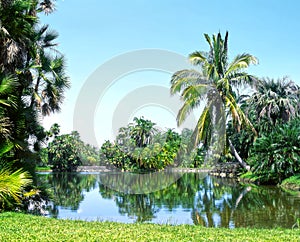 Fairchild Tropical Gardens Miami Florida