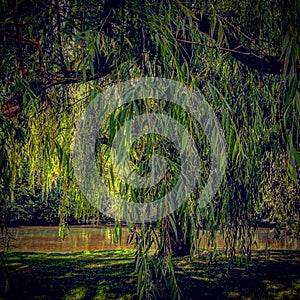 The Fairest of them All