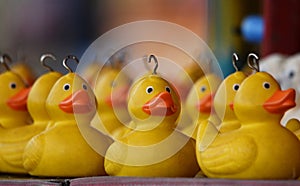 Fairground ducks in a hook a duck carnival game
