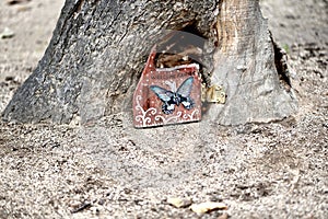 Fairies doors various locations Golden Gate Park 3