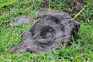 A fairly large stone with a rough surface