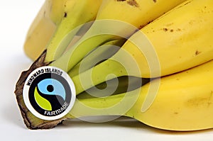 Fairtrade label on a bunch of ripe bananas