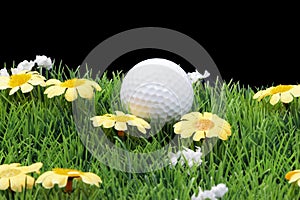 Fairway with golfball