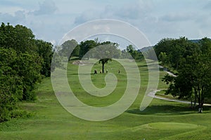 Fairway of par five golf hole photo