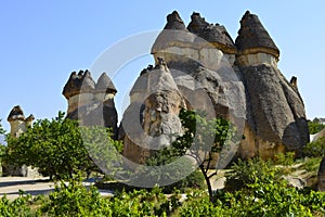 Fairy chimneys in Cappadocia