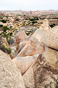 Fairy chimneys in Cappadocia , Goreme valley