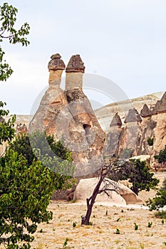 Fairy chimneys in Cappadocia , Goreme valley