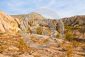 Fairy chimneys rock formation in Cappadocia