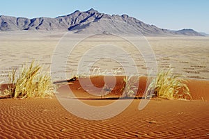 Fairy circles in desert, Namibia