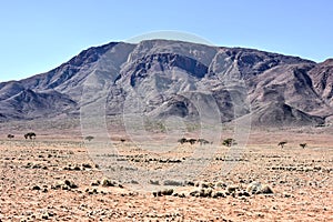 Fairy Circles - Namibia