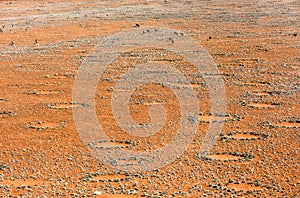 Fairy Circles - Namibia