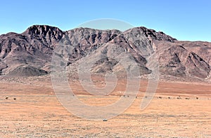 Fairy Circles - Namibia