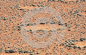 Fairy Circles - Namibia