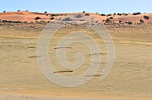 Fairy circles near Sesriem