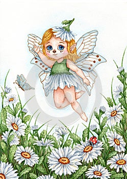 Fairy daisies watercolor