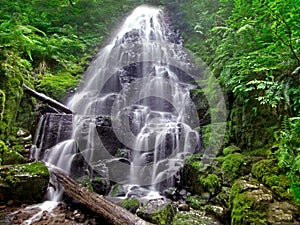 Fairy Falls img