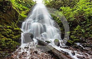 Fairy falls in Columbia River Gorge, Oregon