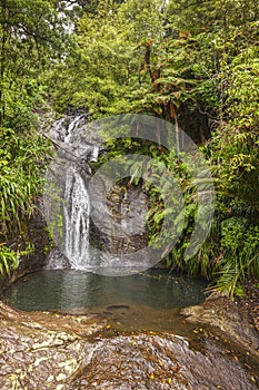Fairy Falls, Waitakere Ranges, New Zealand