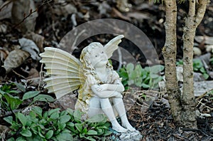 Fairy in the garden.