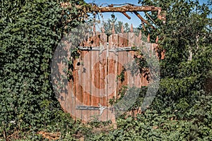 A fairy gate to the secret garden. Abandoned overgrown garden