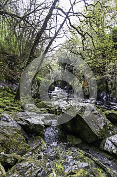 Fairy Glen at Betws y Coed, Snowdonia, Wales