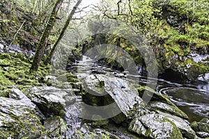 Fairy Glen at Betws y Coed, Snowdonia, Wales