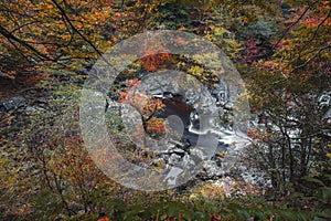 Fairy Glen Gorge Waterfall at Autumn