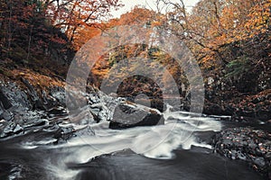 Fairy Glen Gorge Waterfall at Autumn in North Wales, UK