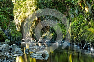 Fairy Glen near Betws y Coed