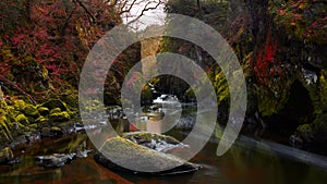 Fairy Glen in North Wales, United Kingdom