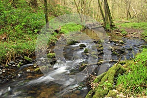 Fairy Glen, Rosemarkie, Highlands of Scotland