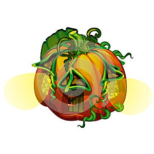 Fairy house in form of ripe pumpkin with glowing windows isolated on white background. Vector close-up cartoon