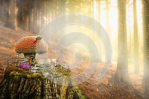 Fairy house (Mushroom)
