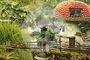 Fairy house (mushroom) img