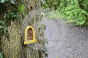 Fairy house on the tree